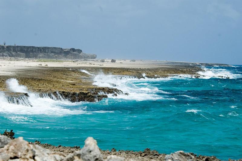 Appartamento Woodz Bonaire Playa Esterno foto